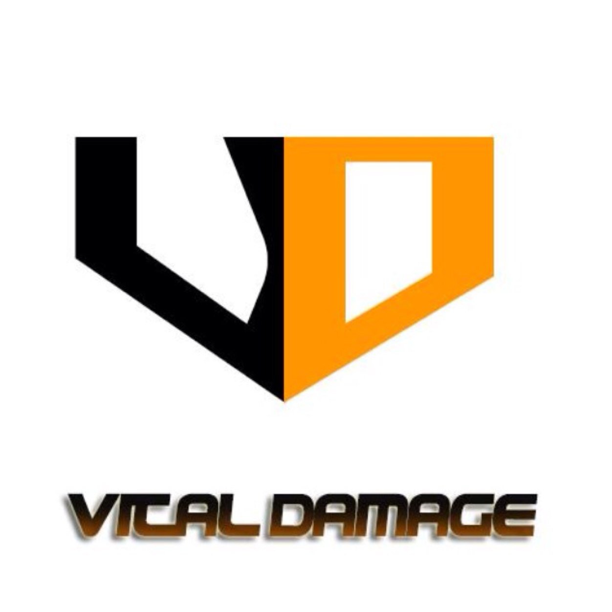 VitalDamage or vD is a competitive team that is looking to travel and become big| go follow our 2014 roster  @OGTeaRvD @Broly_vD TBA @DoTheJerky |
