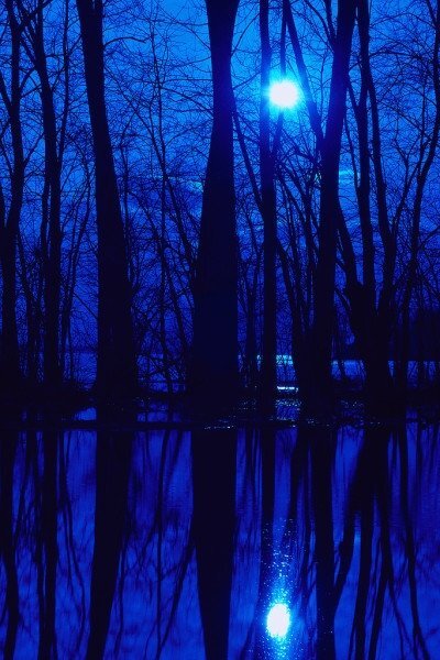 AJSmith1971's profile picture. Parent who needs a social life......