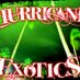 Hurricane Exotics (@h_exotics) Twitter profile photo