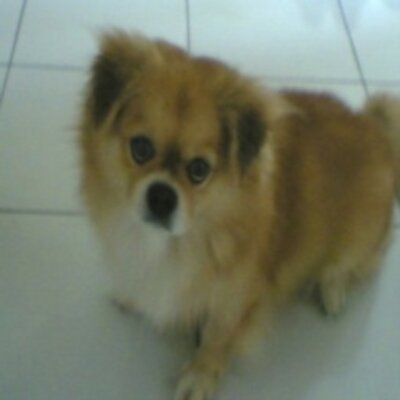 Profile Picture of Angel Jarvis (@AngelJarvis16) on Twitter
