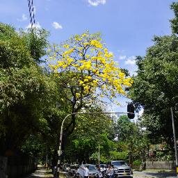 Mesa Nacional Por el medio ambiente