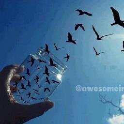 حالم يرتدي بزة التحرر بمتعه ولذه وشغف .. الفكره انفاس مختلفه تمتزج بجنون لتصبح قصه بكل لون .. اقتني رائحة الياسمين .. يبحث عن نصفه الفاتن