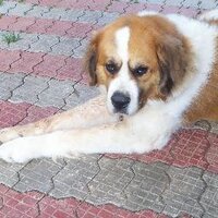 ILikeDonuts (@jspank99) 's Twitter Profile