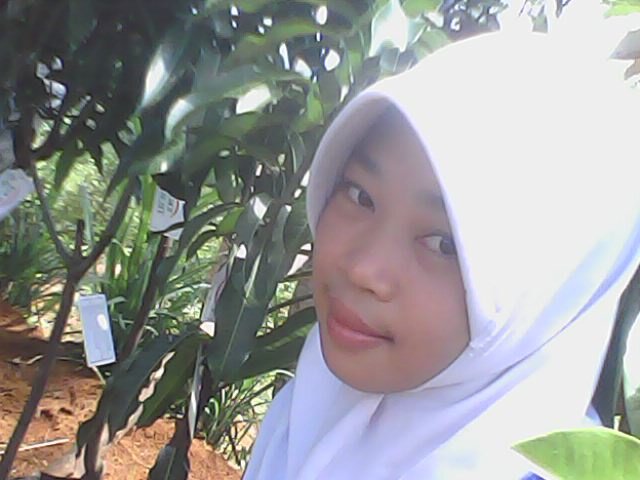 menurti suara hty lbh baik