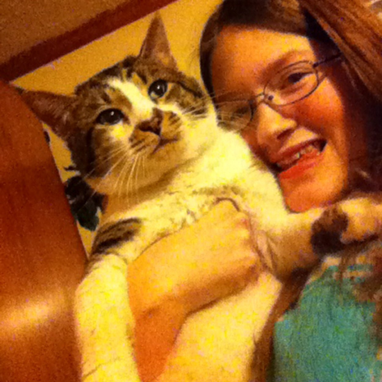 I have 3 cats Taz,Socks,Oliver