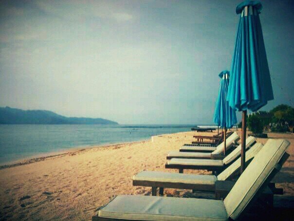 anggibarries's profile picture. 