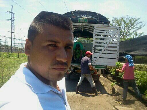 wilsonreinoso1's profile picture. 