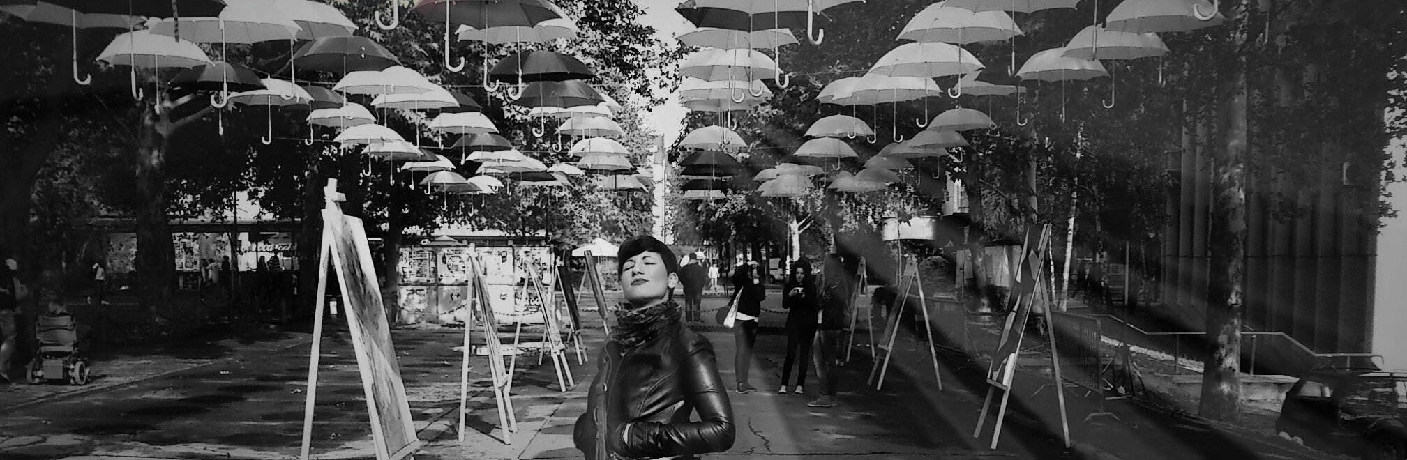 TrinityItakoto's profile picture. 