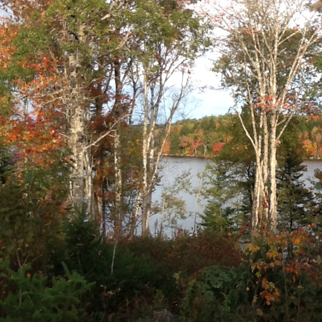 CNA1973's profile picture. 