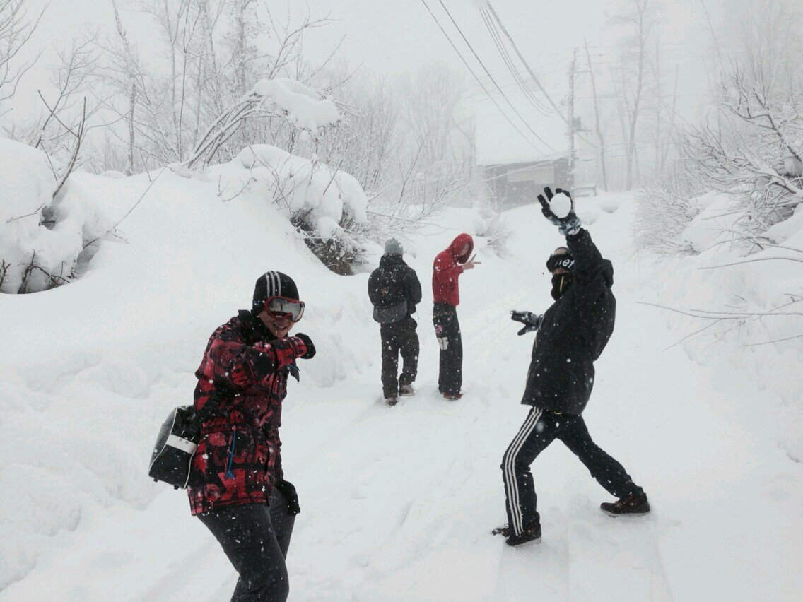 jamproject16's profile picture. 府中六小→府中五中→農業高校→社畜(^q^)