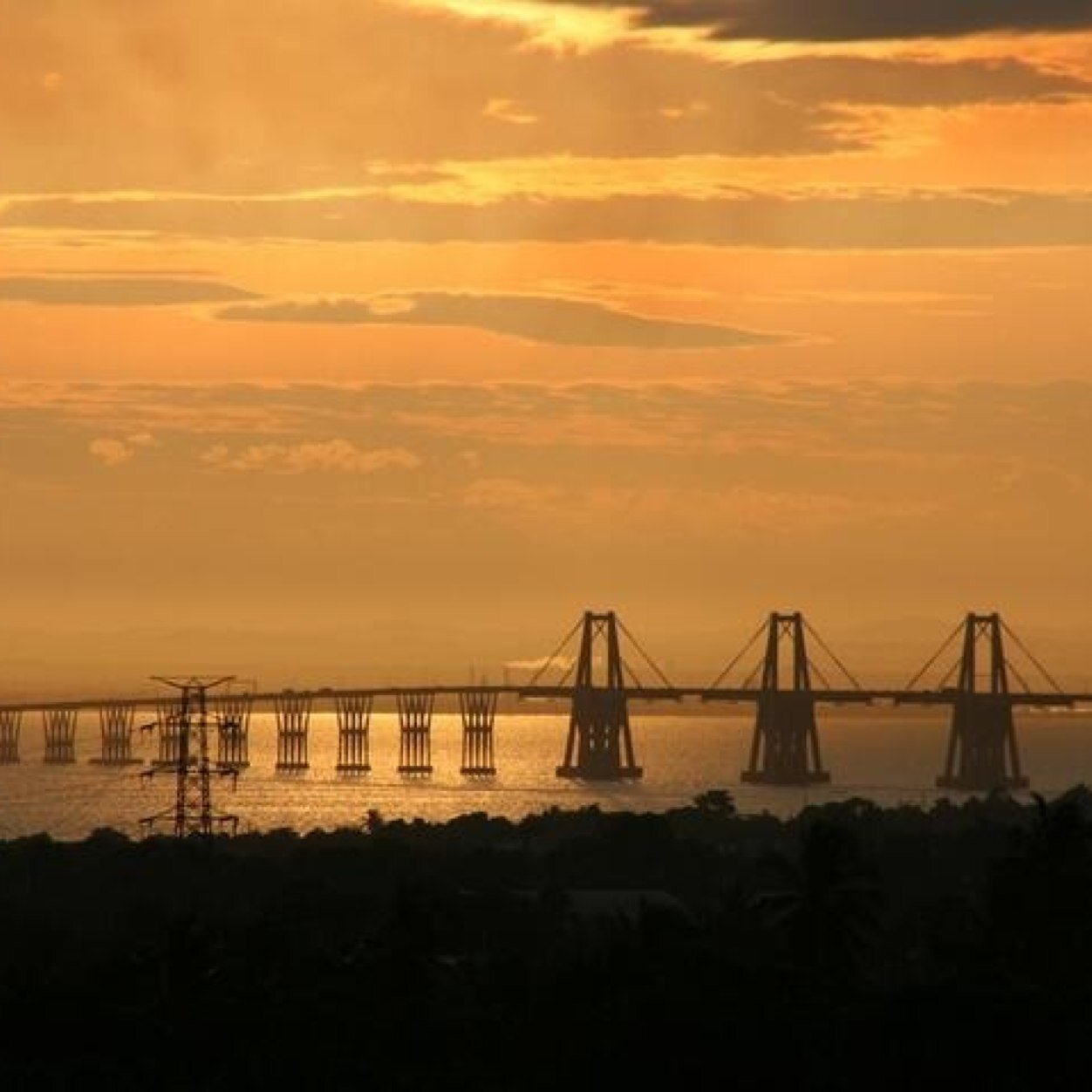 untzulia's profile picture. No!