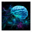 EPILESSIAINFO avatar