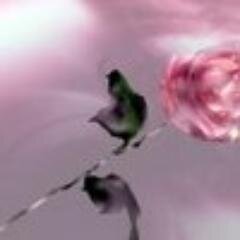 cabromeles's profile picture. Конь по воле всадника скачет