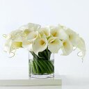 olivia valle - @oliviavallel - Twitter