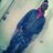 Dopest_Out234's profile image