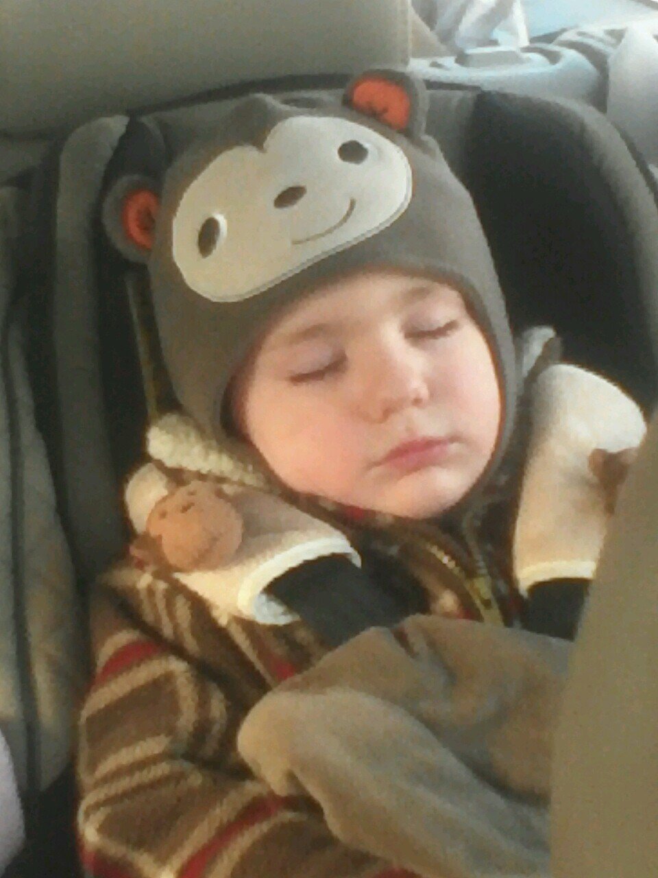 tomshany's profile picture. 