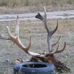 hunting,fishing,and managing colorado outdoor sports. come hunt with us.