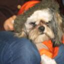 Gabriel Agudelo - @MrGabino - Twitter