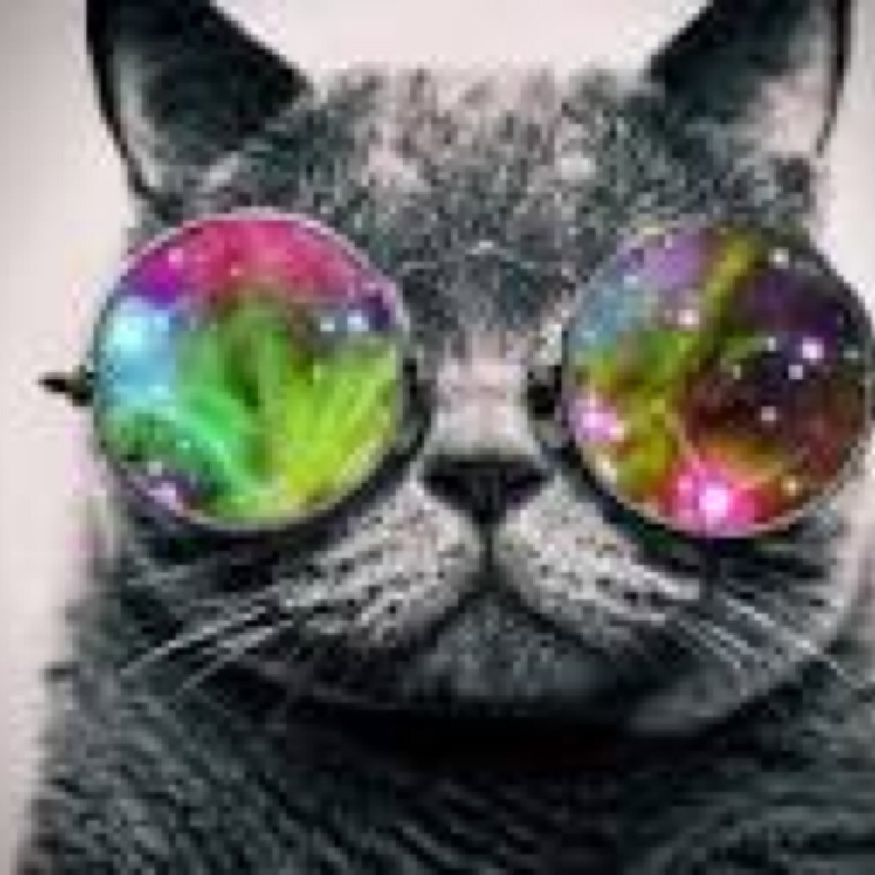 Spaceshades's profile picture. Looking to find anyone or any company that would help me expand on my idea for SpaceShades. Contact me at spaceshadesinfo@gmail.com