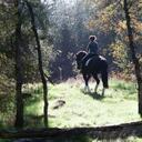 Kelsey Castro - @travlingrl8 - Twitter