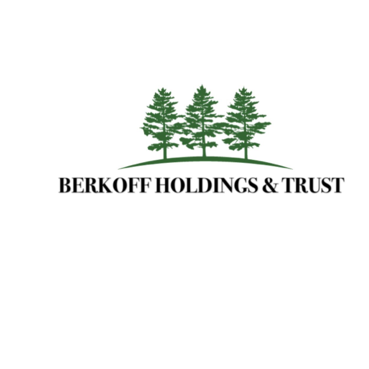 BERKOFF HOLDINGS & TRUST | Investing in Energy and Infrastructure.