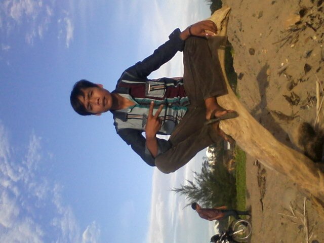 wantino2's profile picture. gemini