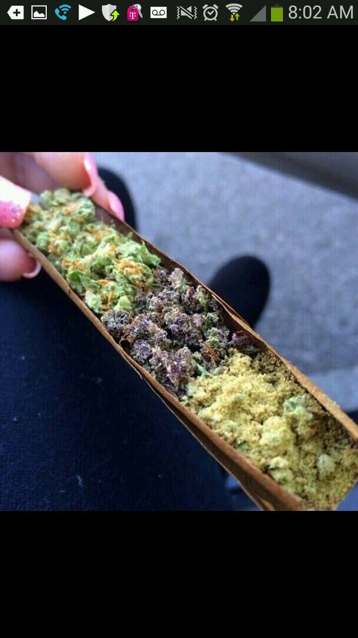 Weed Advice.Weed Life.Just Hit The Weed Twice         not NWAmbition you dont get followed #692 The Link Below Is Music Doper Then Weed.