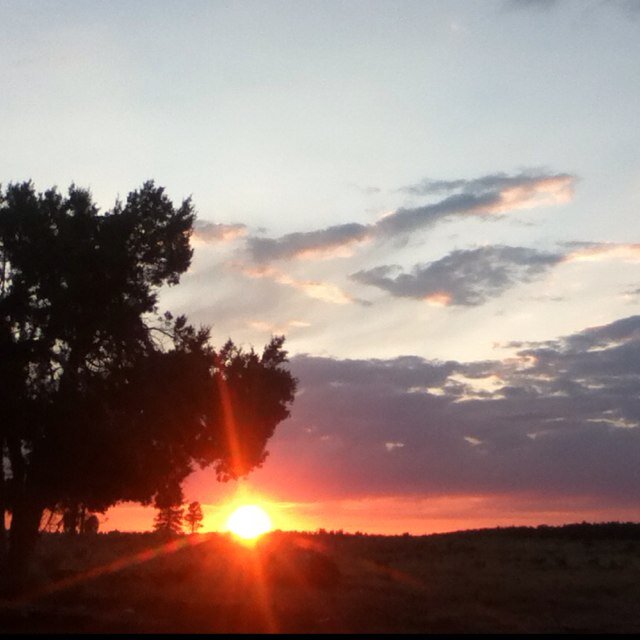 Just_life01's profile picture. Im a 21yr old guy, and i like to write poems.