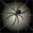 XxSpider_BitexX's profile picture. 