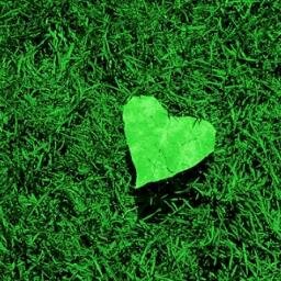 DaSofiaD's profile picture. There is magic everywhere if you want to see it!