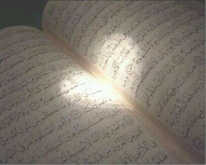 CesiliaFidora's profile picture. 