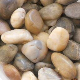 thisbumblebee's profile picture. Reading and sharing some thought provoking articles from around the web; contemplative, amusing, & mind expanding.