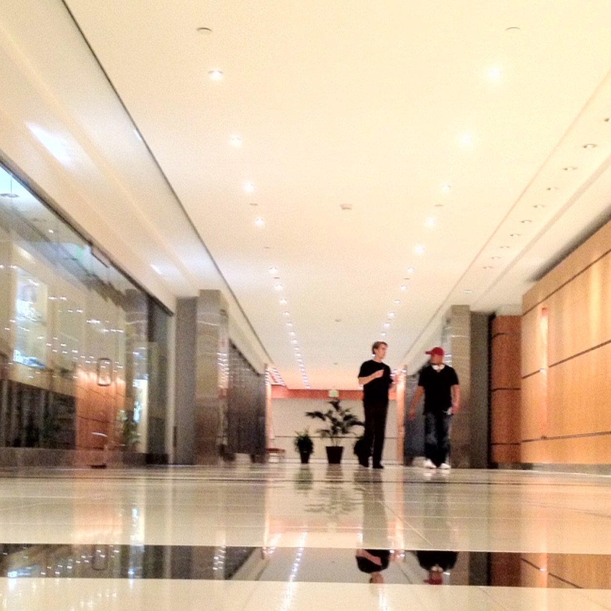 seanrosa29's profile picture. 