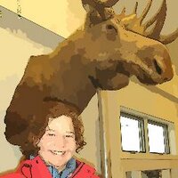 JoLovesLibraries (@jobusupnorth) 's Twitter Profile