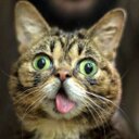 Dan Hinz - @danimal440 - Twitter