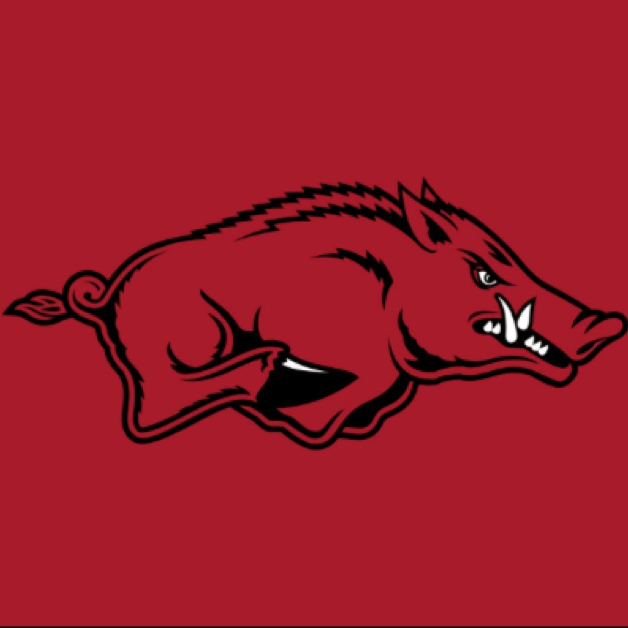 This account was created for students that graduate from high school in 2015 and plan on attending the University of Arkansas