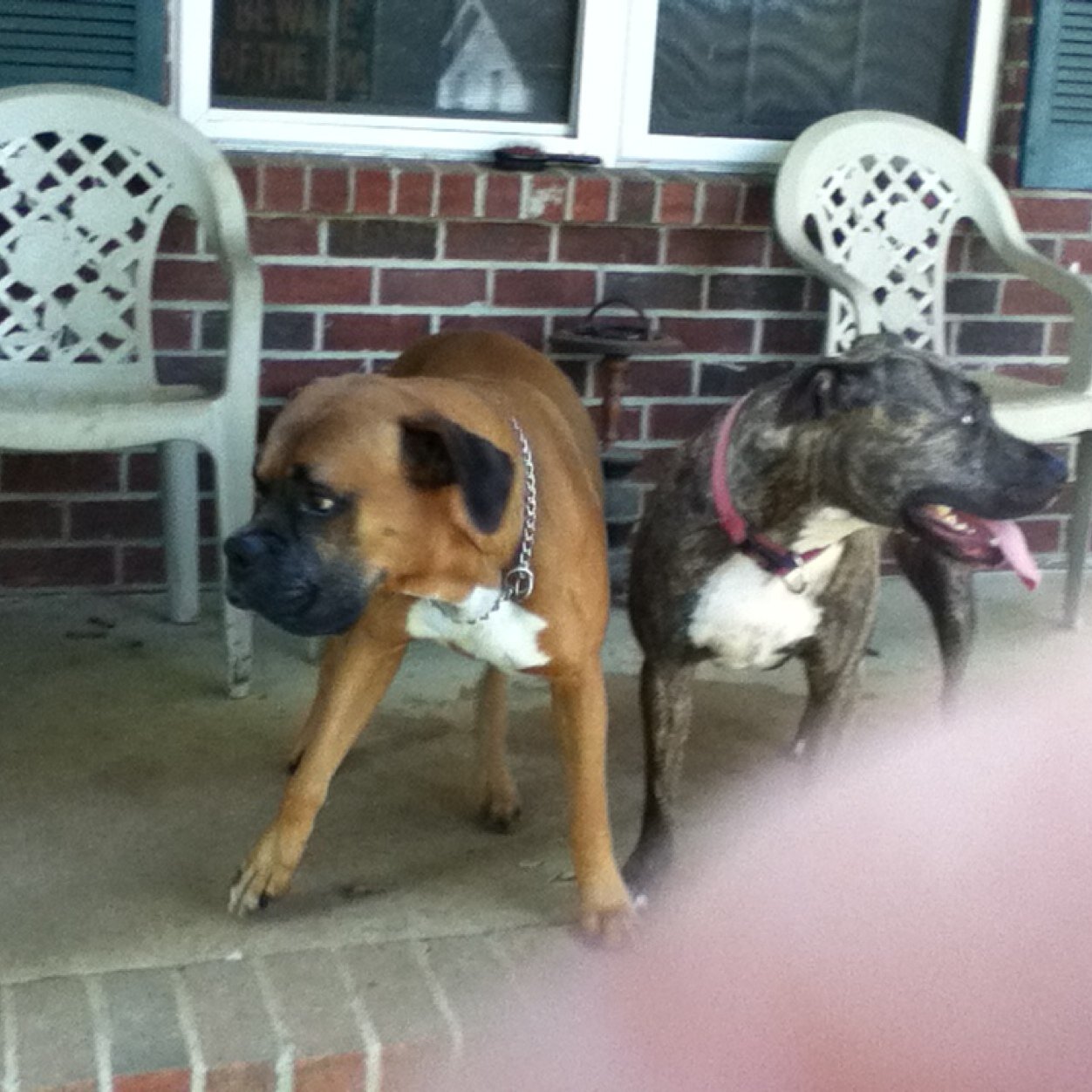 Jice1998S's profile picture. 