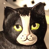 あずきすきこ (@akkovi) 's Twitter Profile