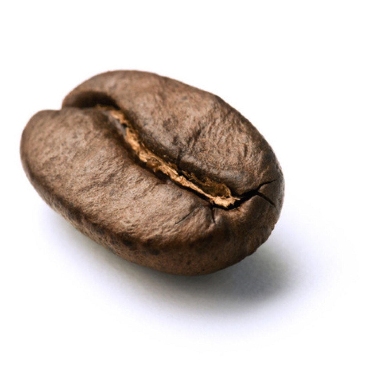 I'm a caffeine-loving foodie in Puget Sound, what else is to know?