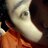 JoseAlejos13's profile image