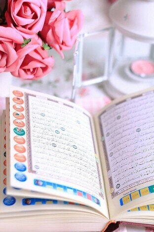 لا أقبل من لا أعرفه .فرحتي غدا لاتساويها إي فرحه حين أنطق بأخركتاب الله حفظاوغدا ألقب  بحافظه لكتاب الله بأذن الله