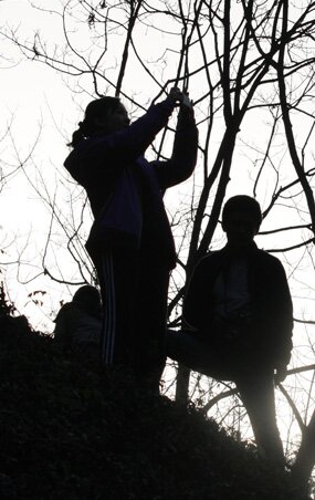 犬影犬声，在所难免。