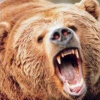 ericmsteen (@ericmsteen) 's Twitter Profile