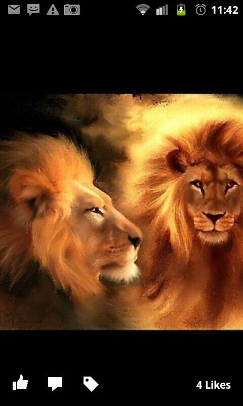 LicorYAmor's profile picture. There's nothing wrong w. Fantasy- just Don't cloud your mind with irrational thoughts