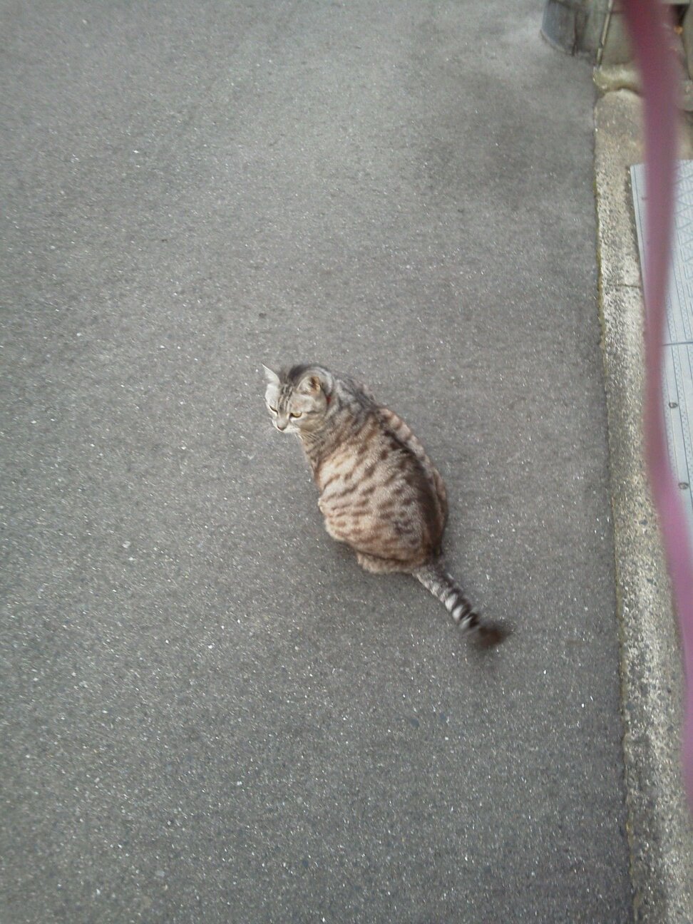 bachflower0810's profile picture. 11人のGANGちゃん🎠と8人の海賊達☠️GANGPARADE/ATEEZ
Body&11Soul★8makes1team!
Gangsta vibes!！