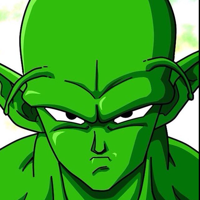 I'm Piccolo. All Namek, all warrior. Even though I once wished Earth destroyed, I now fight to save it. For I am a Z Fighter.
