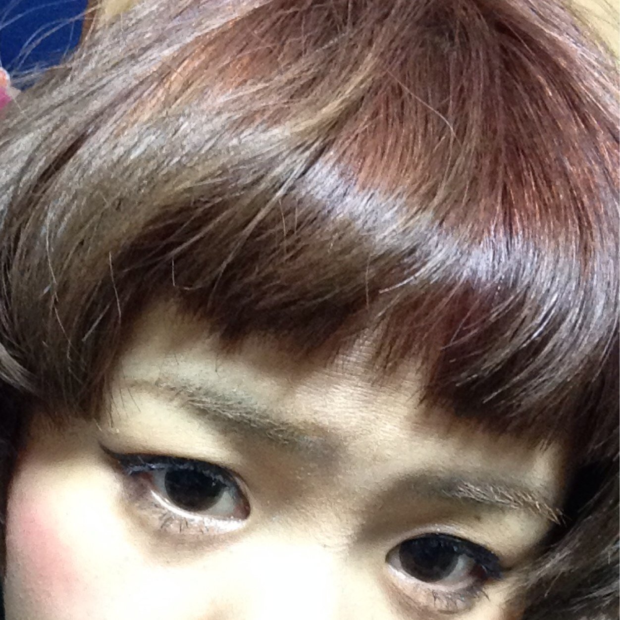 abcos_nya's profile picture. BUMP OF CHICKEN SCANDAL SUNLITE ！来世は絶対ネコがいい。