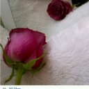 متابعه (@196_sho) Twitter