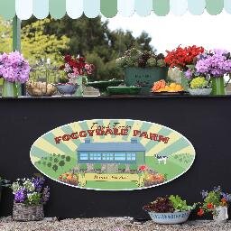 lyndahallinan's profile picture. Gardener, writer, reader, eater, drinker, talker.