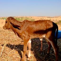 तारुण्यसुलभ स्वप्नाळूपणा आणि ध्येयांच्या अद्रुष्ट ओढीने आत्म्याला येणारी जाग्रुती काही औरच...
Facebook profile - https://t.co/o4nZKphO